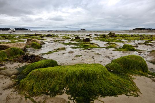 beneden peil