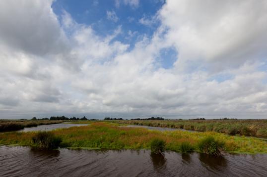 holland